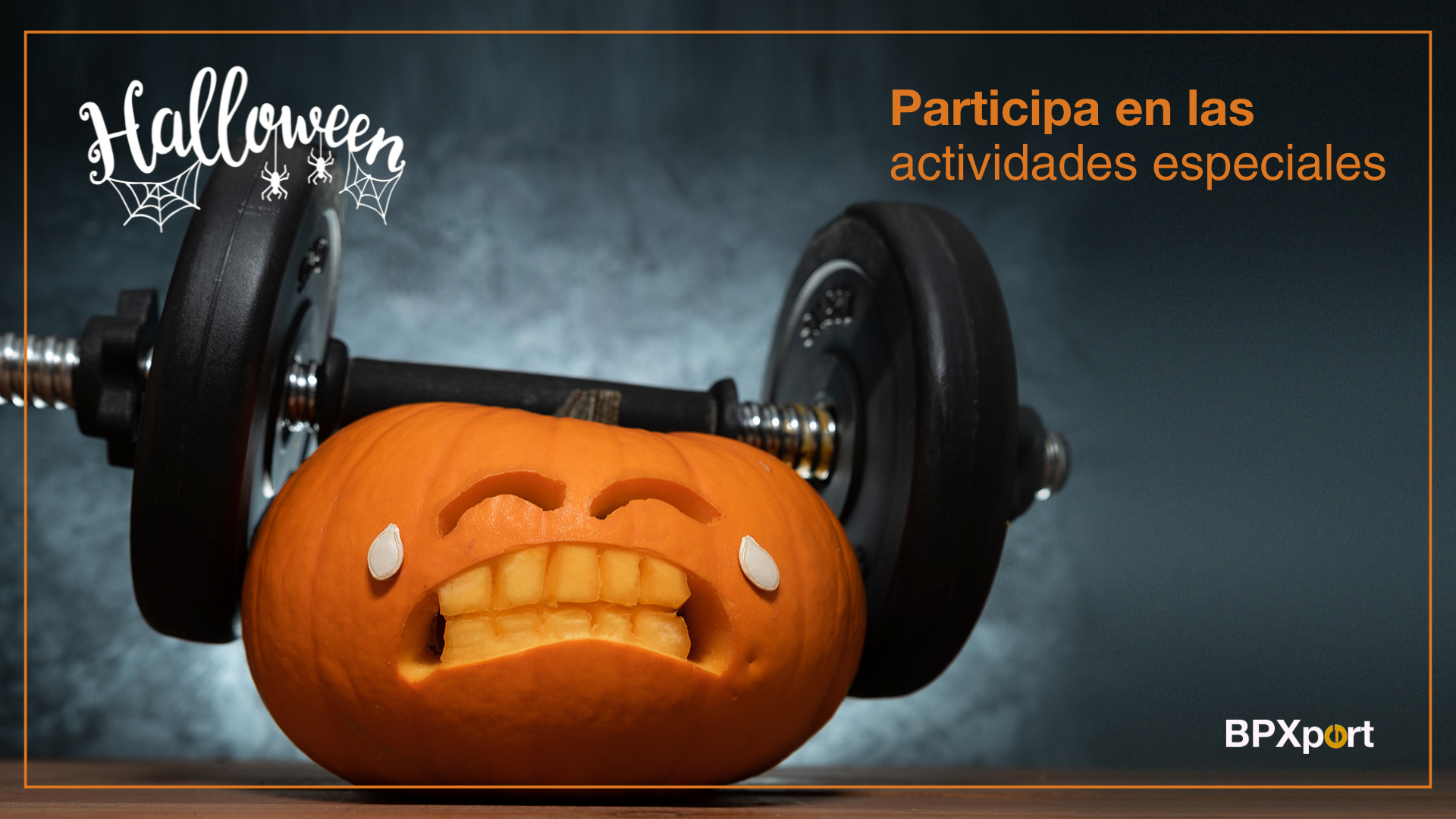 Halloween 2024 en BPXport